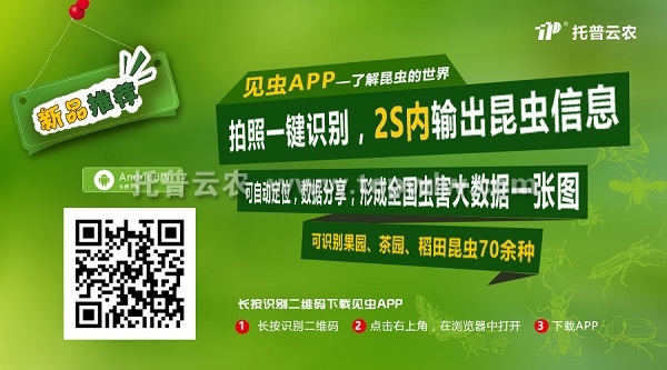 拿害虫没辙怕农残过量？蓝月亮正宗免费料这款APP让你的手机变灭虫好帮手