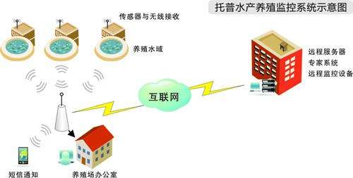 智慧农业：水产养殖管理系统完成螃蟹智能养殖