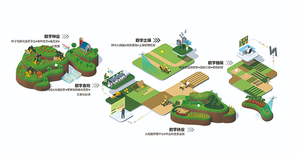 蓝月亮正宗免费料入选“2022数字农业新基建服务平台TOP50”